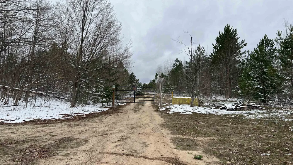 Peterson Road Custer Township, MI 49659