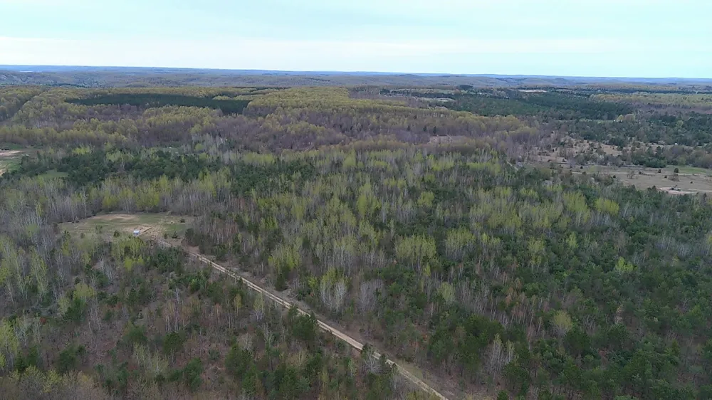 Peterson Road Custer Township, MI 49659