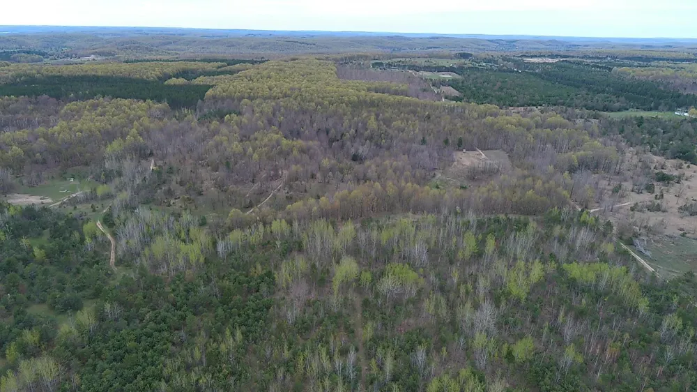 Peterson Road Custer Township, MI 49659