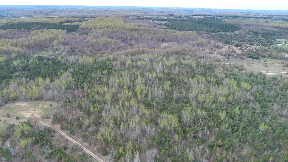 Peterson Road Custer Township, MI 49659