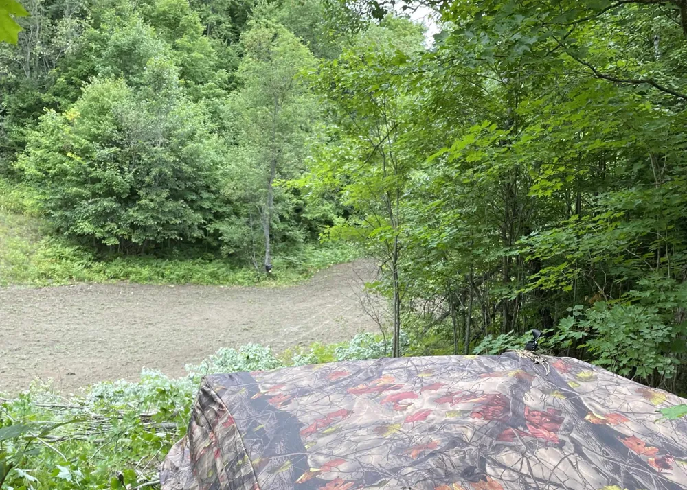 Peterson Road Custer Township, MI 49659
