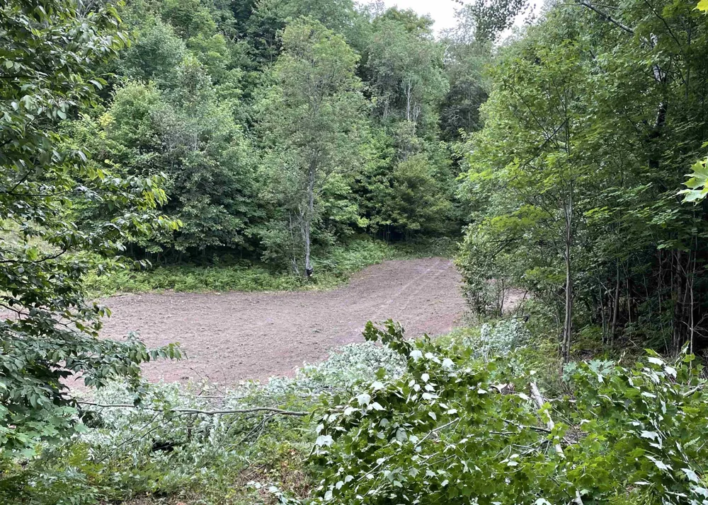 Peterson Road Custer Township, MI 49659