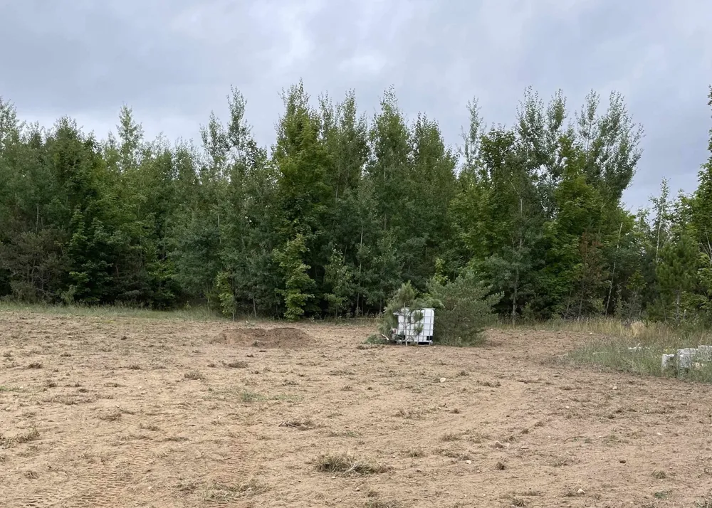 Peterson Road Custer Township, MI 49659