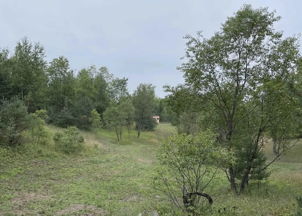 Peterson Road Custer Township, MI 49659