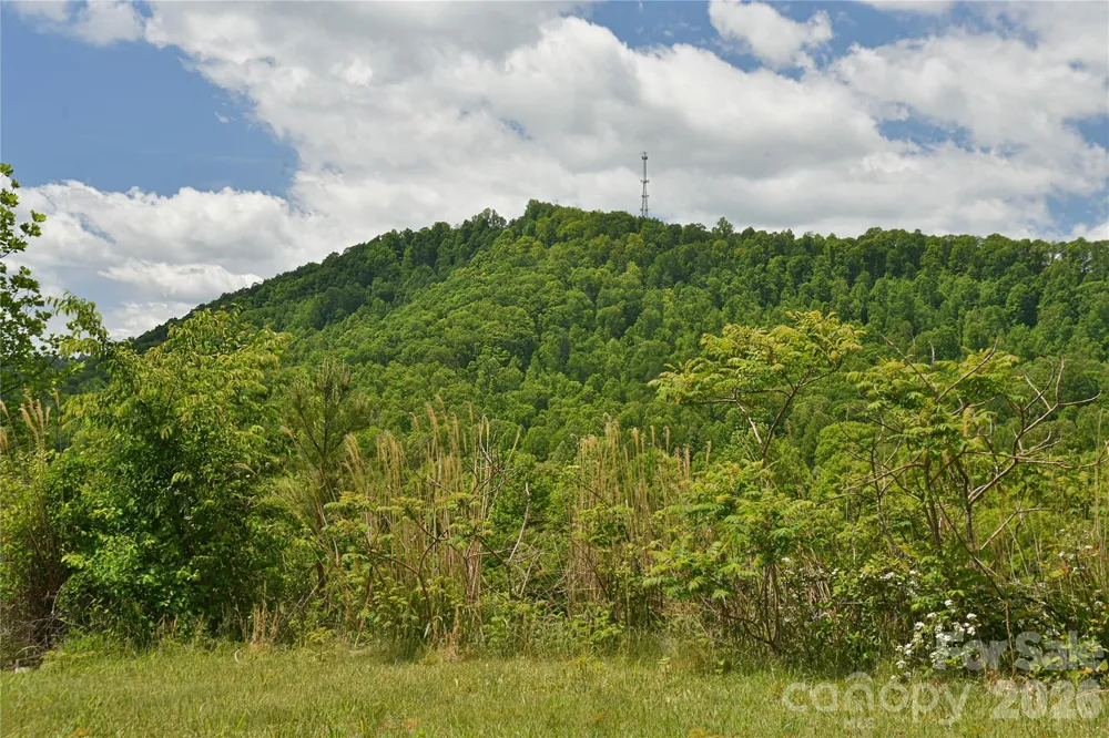 116 Kay Road Flat Rock, NC 28731