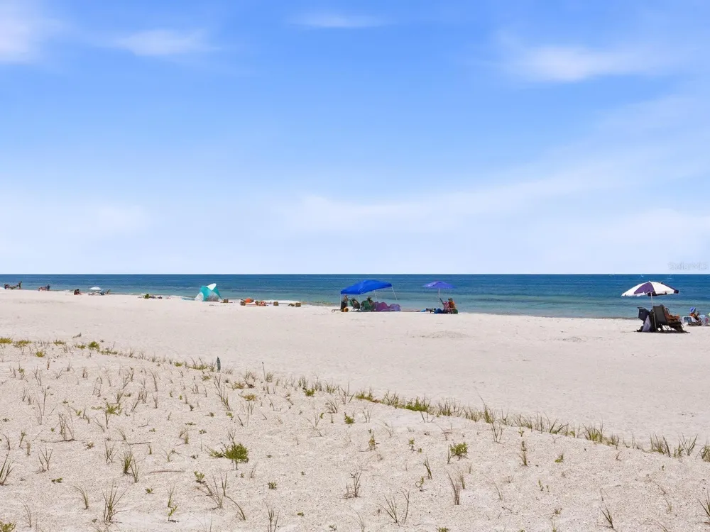 1005 GULF BOULEVARD #10 Indian Rocks Beach, FL 33785