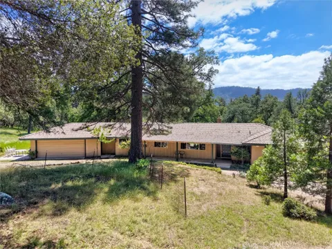 51300 Road 426