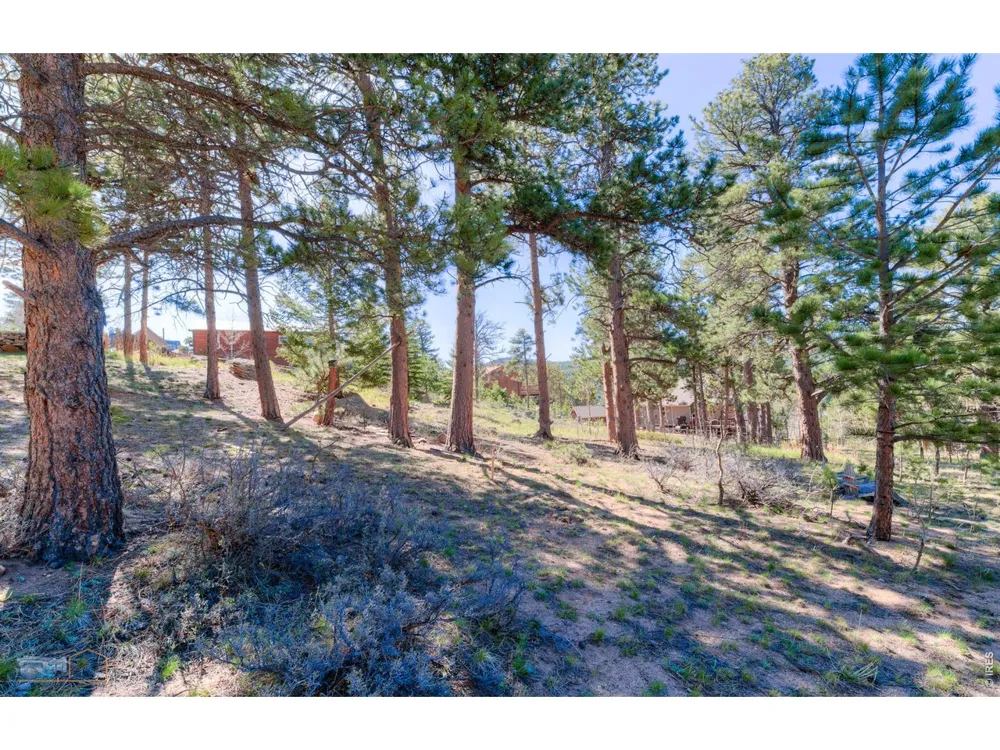 87 Sundance Circle Nederland, CO 80466