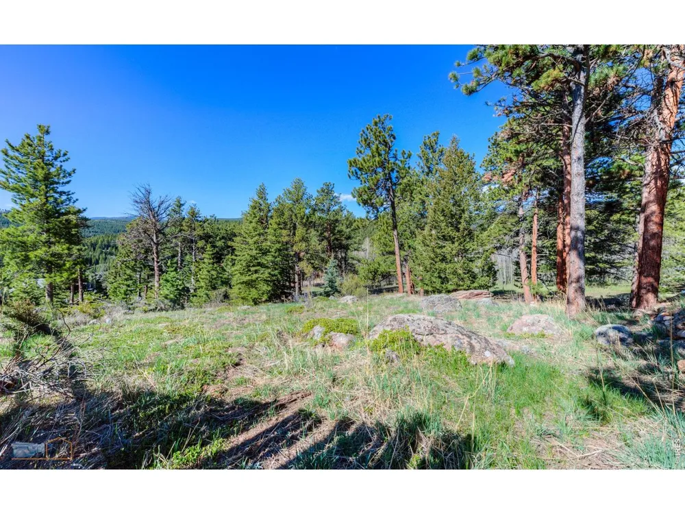 87 Sundance Circle Nederland, CO 80466