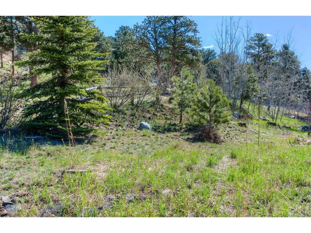87 Sundance Circle Nederland, CO 80466