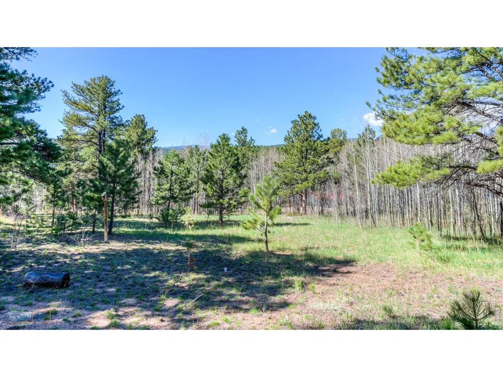 87 Sundance Circle Nederland, CO 80466