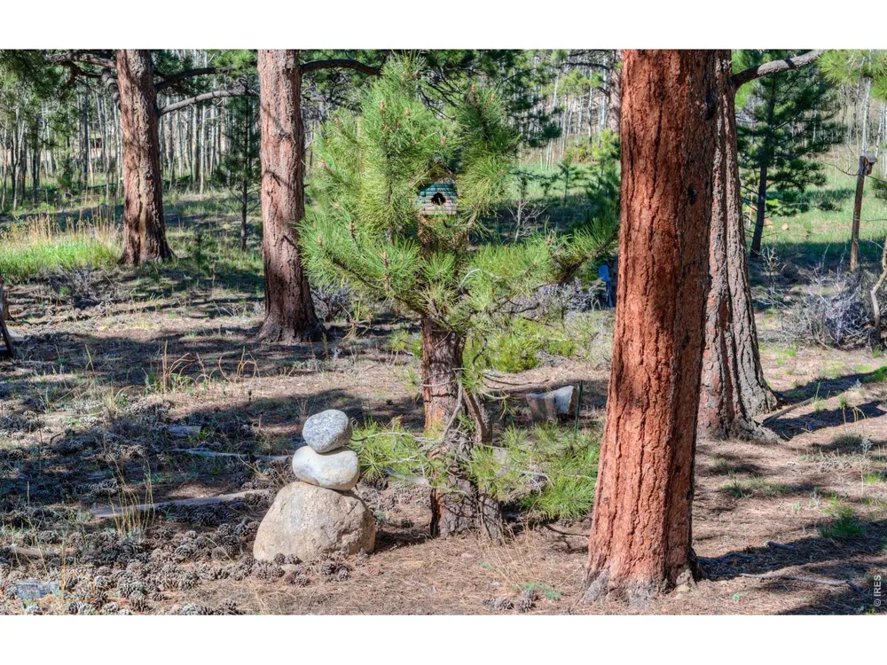 87 Sundance Circle Nederland, CO 80466