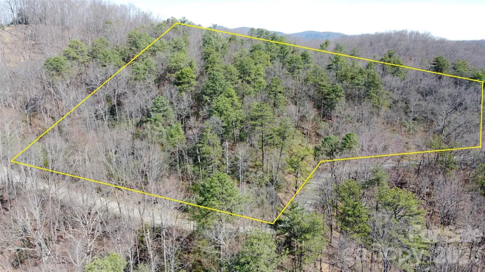 0000 Wilderness Road Hays, NC 28635