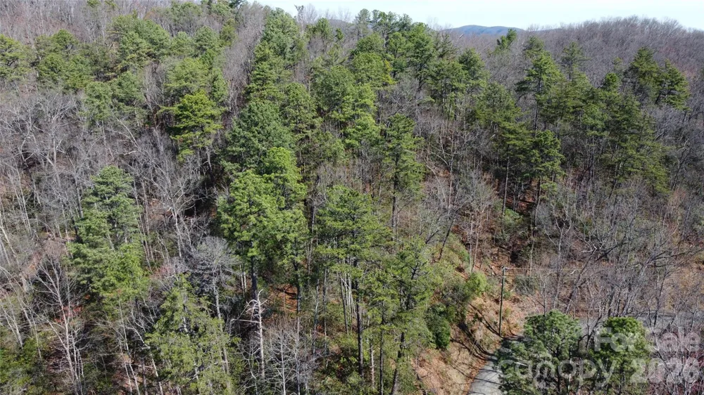 0000 Wilderness Road Hays, NC 28635