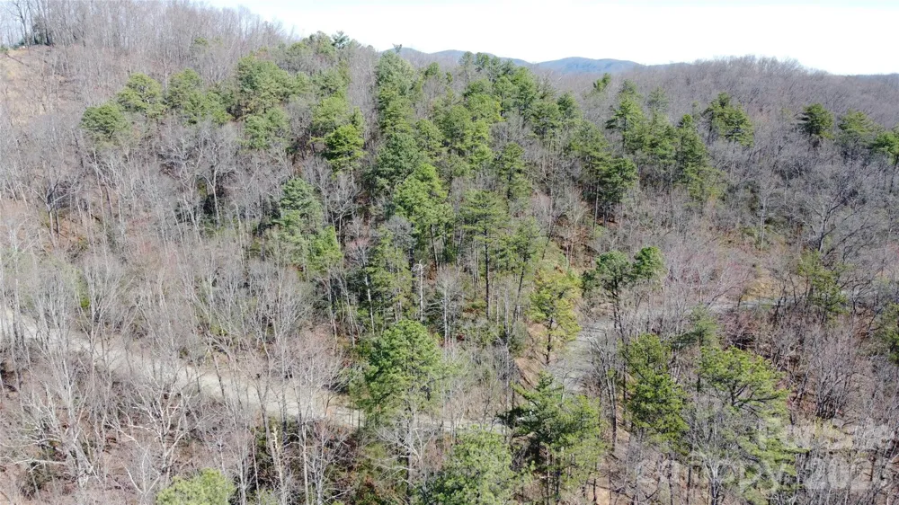 0000 Wilderness Road Hays, NC 28635