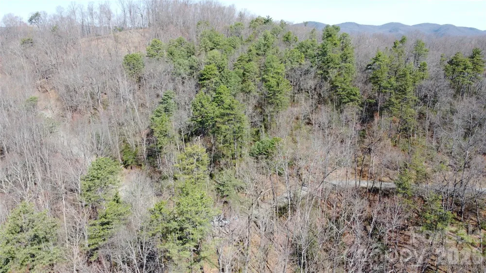 0000 Wilderness Road Hays, NC 28635