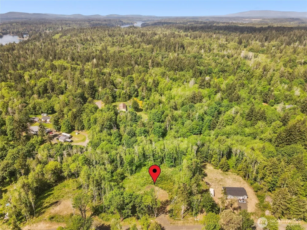 80 E Cascara Cove Lane Shelton, WA 98584