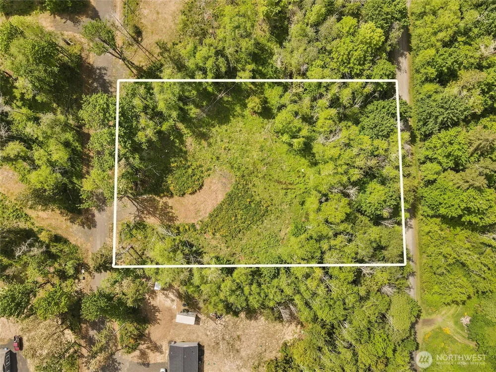 80 E Cascara Cove Lane Shelton, WA 98584