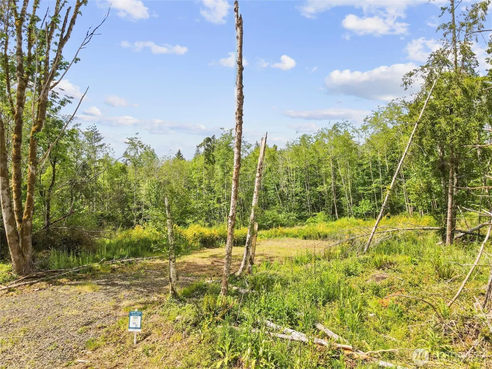 80 E Cascara Cove Lane Shelton, WA 98584