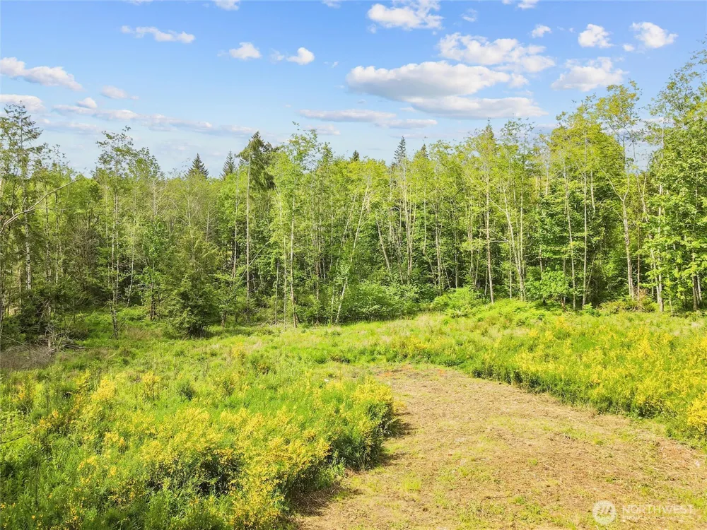 80 E Cascara Cove Lane Shelton, WA 98584