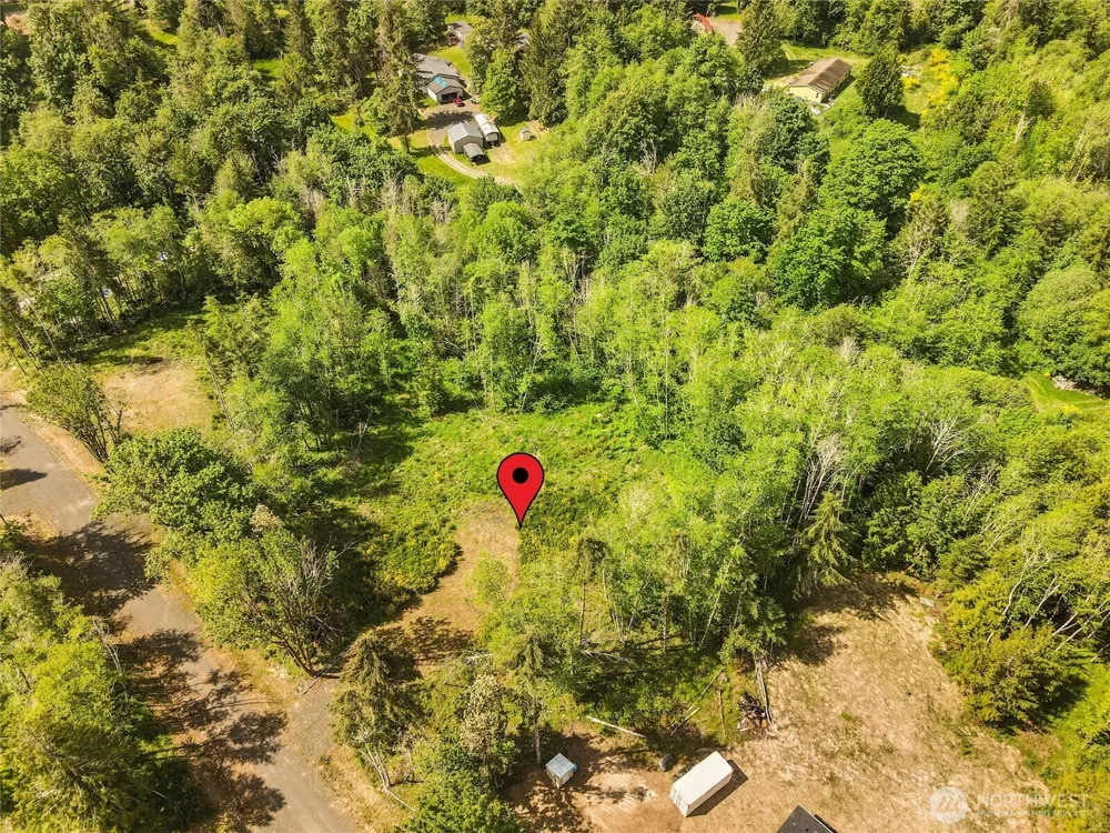 80 E Cascara Cove Lane Shelton, WA 98584