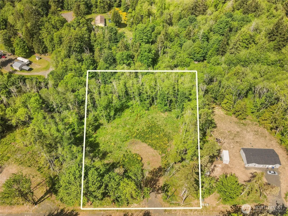 80 E Cascara Cove Lane Shelton, WA 98584