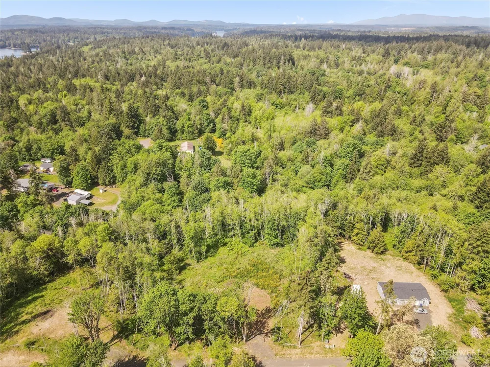 80 E Cascara Cove Lane Shelton, WA 98584