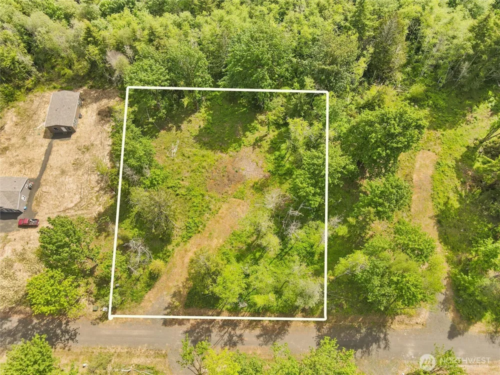 91 E Cascara Cove Lane Shelton, WA 98584