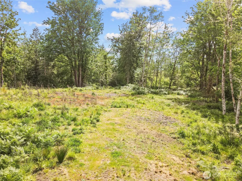 91 E Cascara Cove Lane Shelton, WA 98584