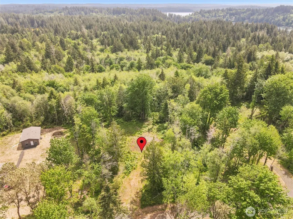 91 E Cascara Cove Lane Shelton, WA 98584