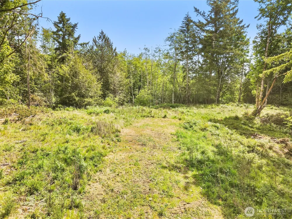 131 E Cascara Cove Lane Shelton, WA 98584