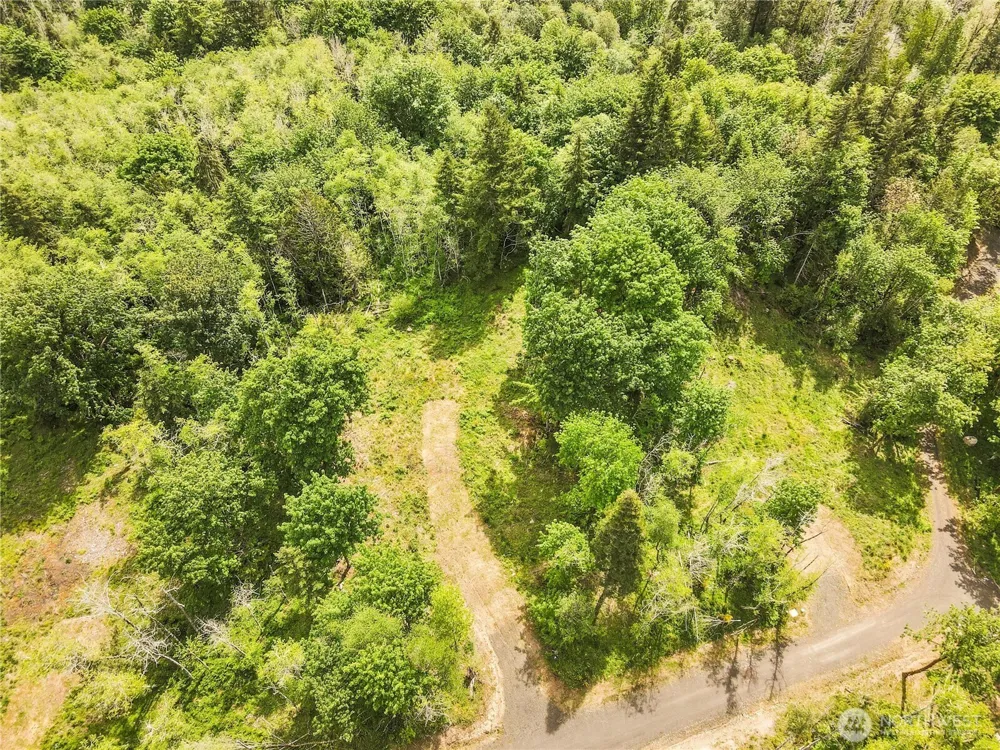 131 E Cascara Cove Lane Shelton, WA 98584