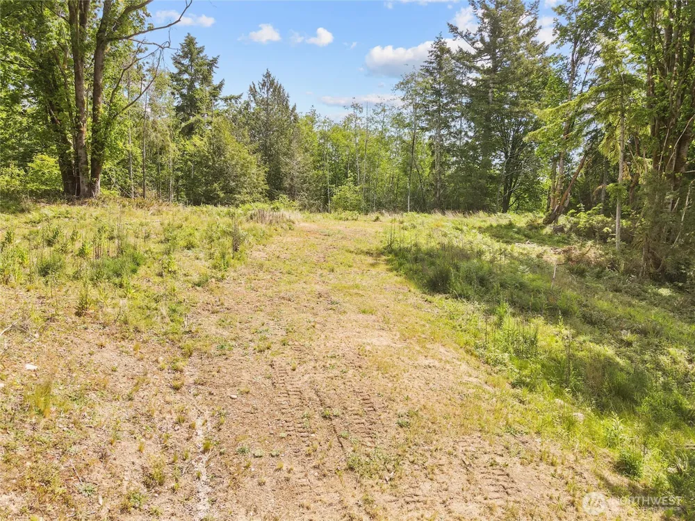 131 E Cascara Cove Lane Shelton, WA 98584