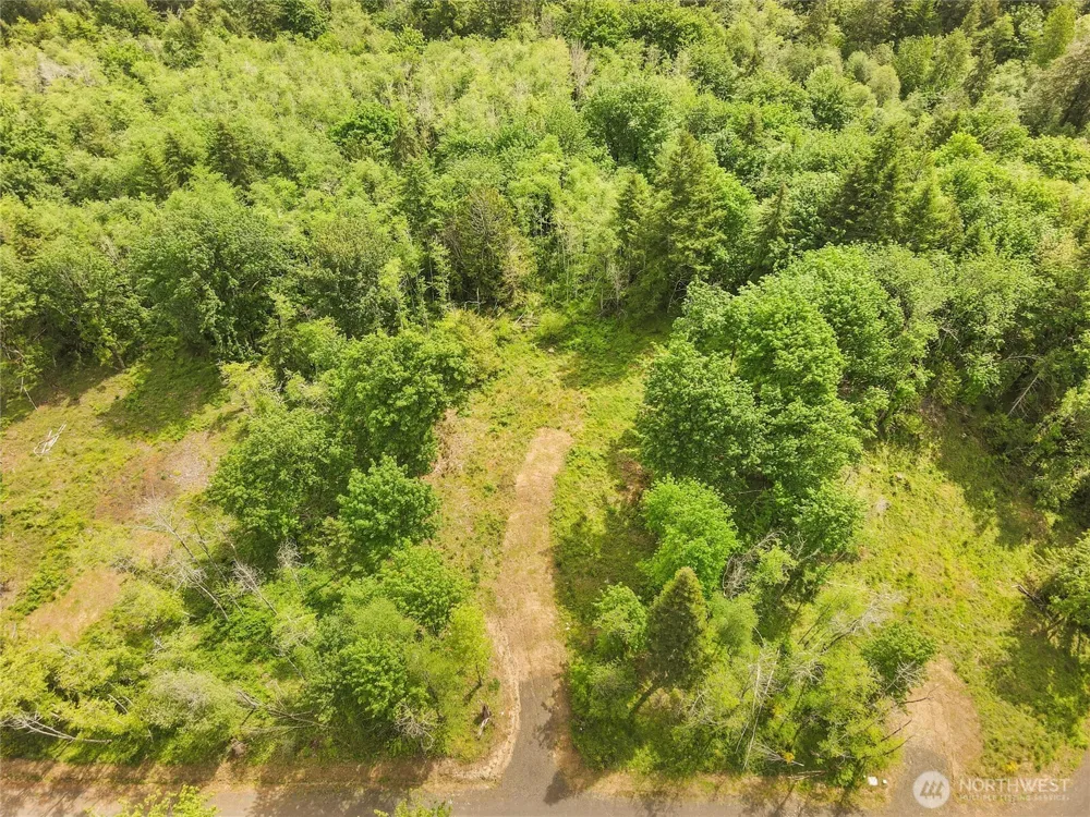 131 E Cascara Cove Lane Shelton, WA 98584