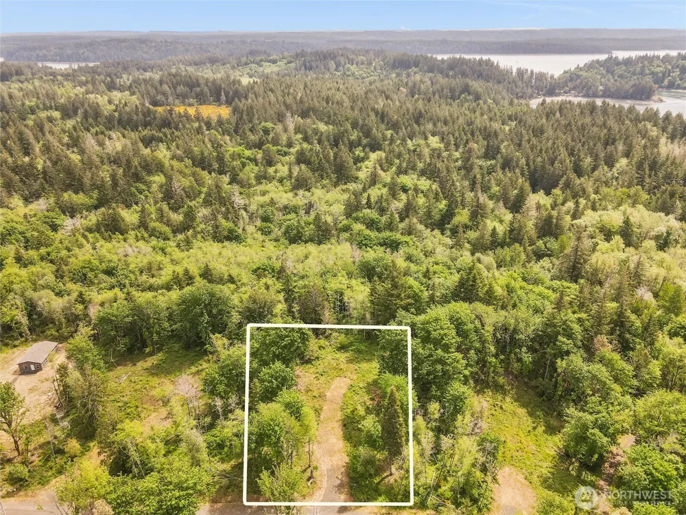 131 E Cascara Cove Lane Shelton, WA 98584