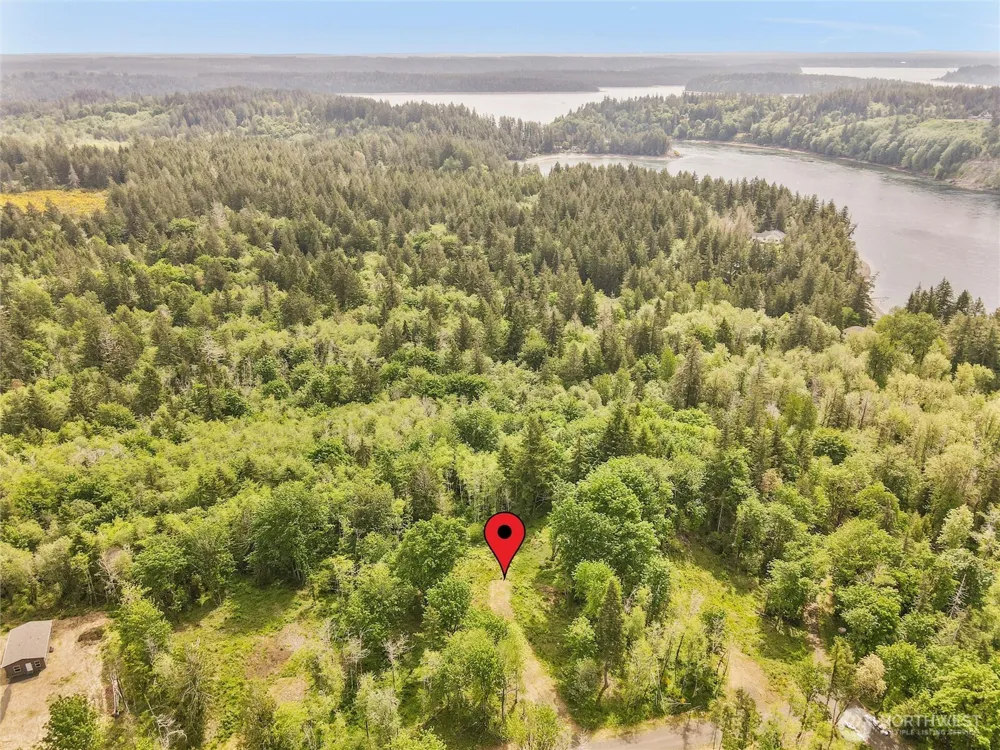 131 E Cascara Cove Lane Shelton, WA 98584