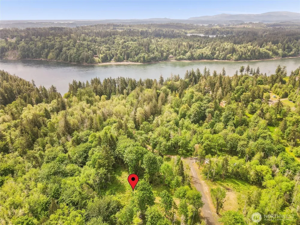 131 E Cascara Cove Lane Shelton, WA 98584