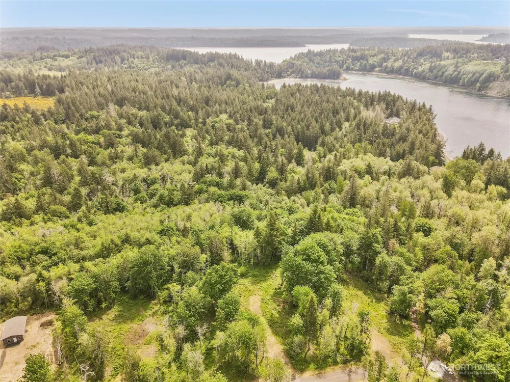 131 E Cascara Cove Lane Shelton, WA 98584