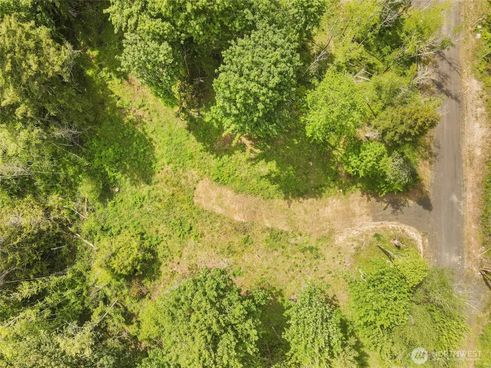 131 E Cascara Cove Lane Shelton, WA 98584
