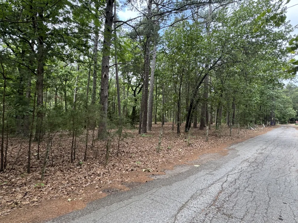 CR 34980 Powderly, TX 75473