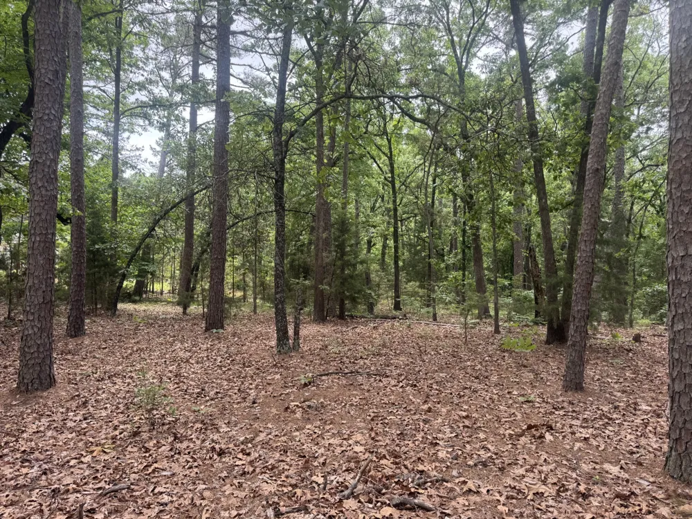 CR 34980 Powderly, TX 75473