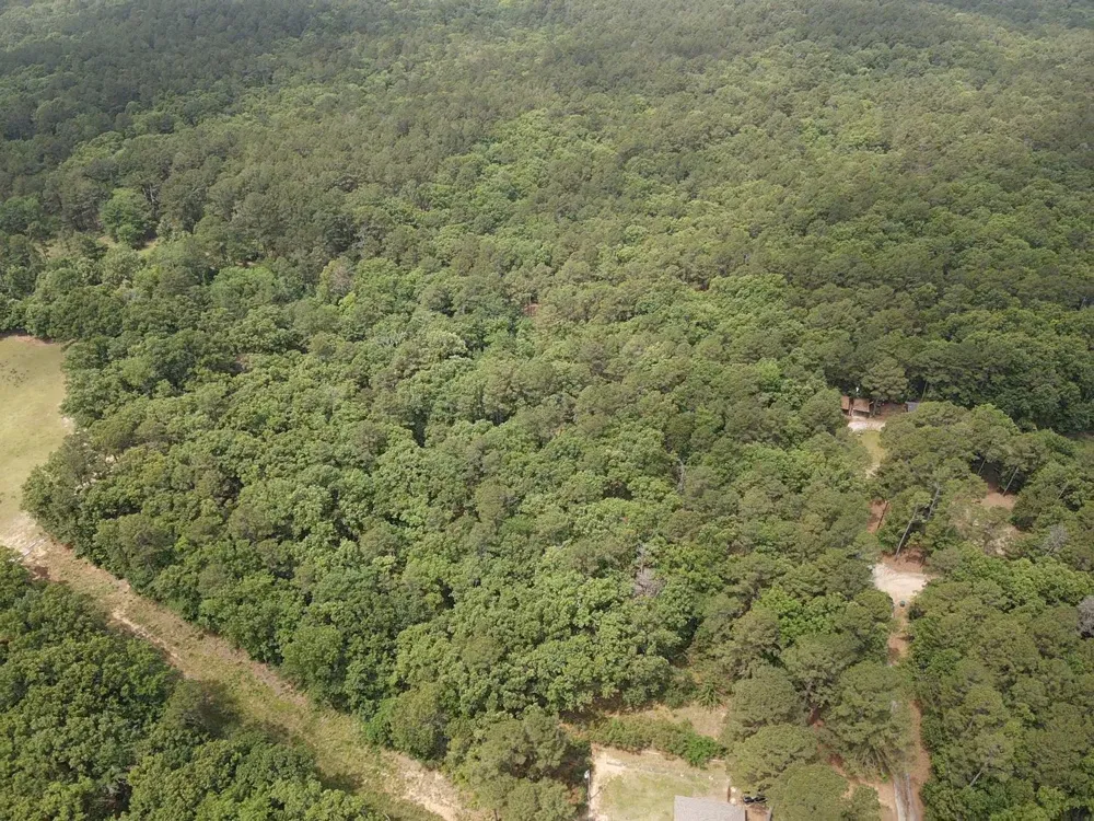 CR 34980 Powderly, TX 75473