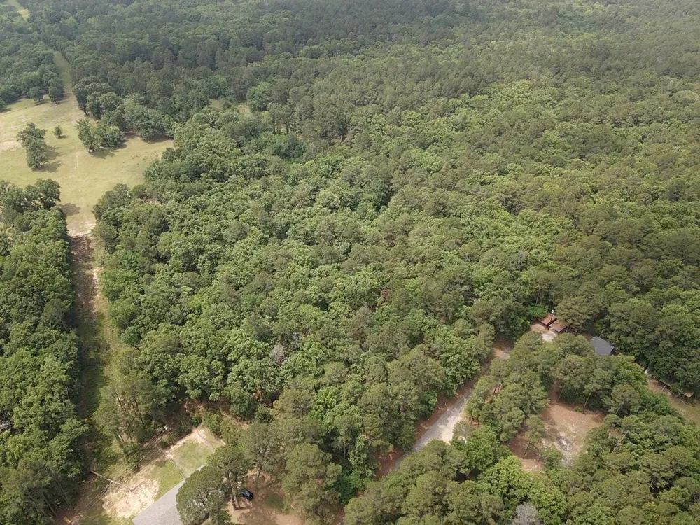 CR 34980 Powderly, TX 75473