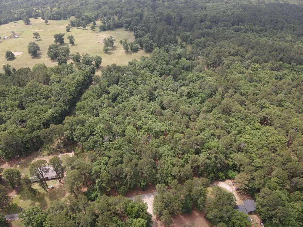 CR 34980 Powderly, TX 75473