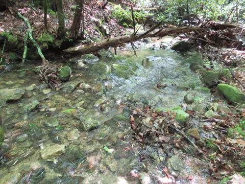 Hickory Gap Rd