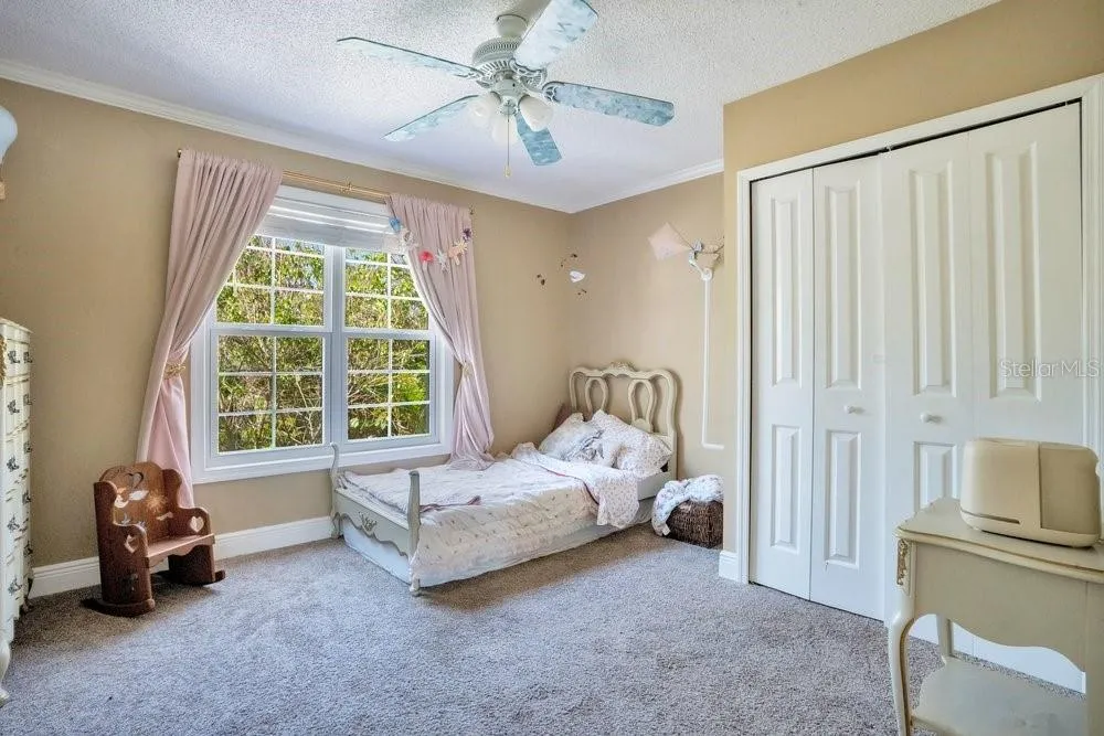 3858 SHORE BOULEVARD Oldsmar, FL 34677