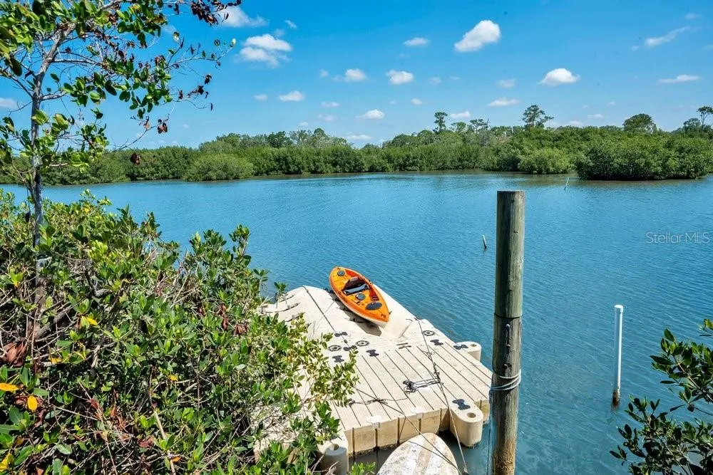 3858 SHORE BOULEVARD Oldsmar, FL 34677