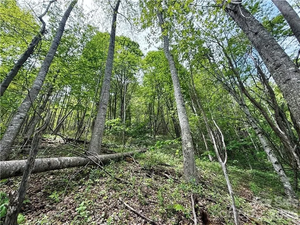 tbd Spice Creek Road Banner Elk, NC 28604