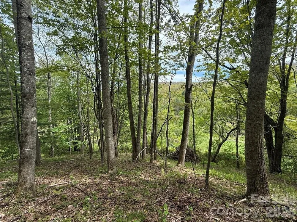 tbd Spice Creek Road Banner Elk, NC 28604
