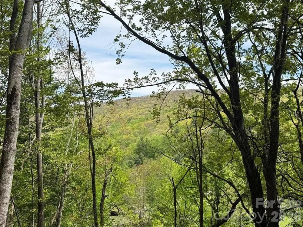 tbd Spice Creek Road Banner Elk, NC 28604